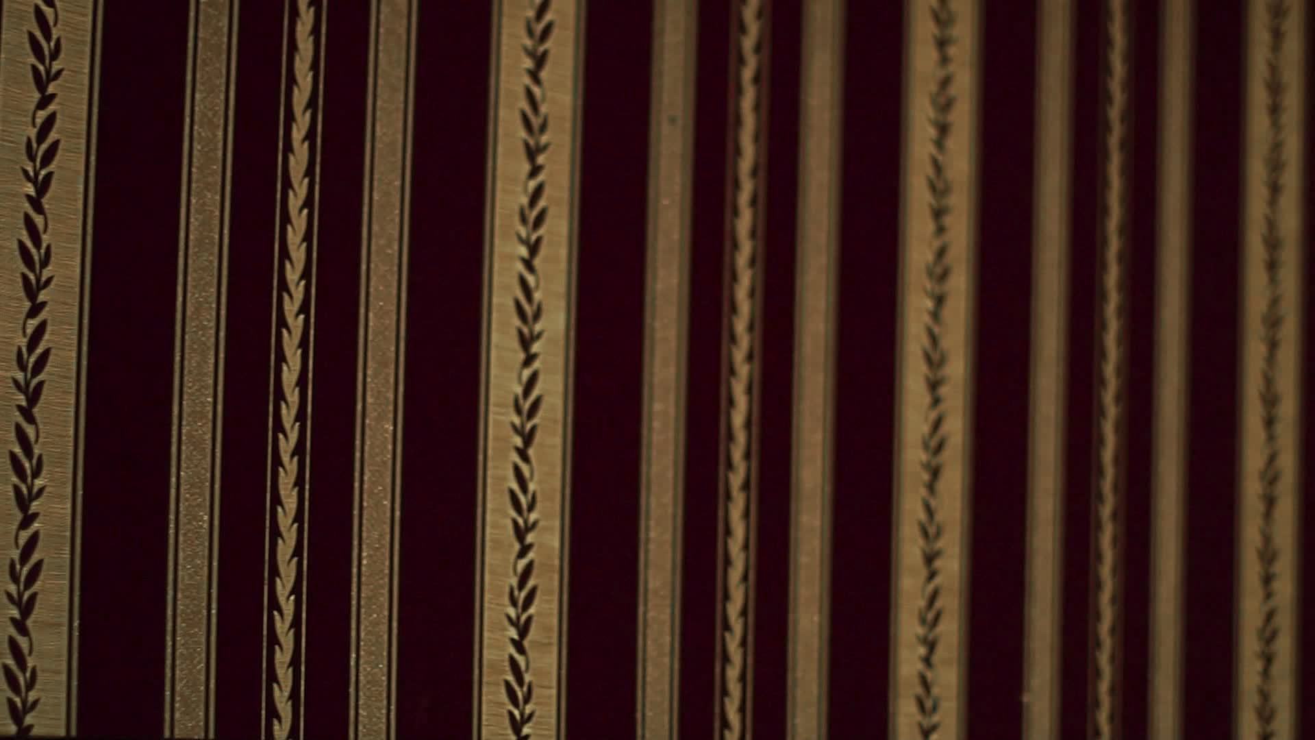 close up of Red Gold wall 16179754 Stock Video at Vecteezy