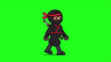 Ninja walking looped animation with green background. Assassin with sword cartoon character walk cycle video