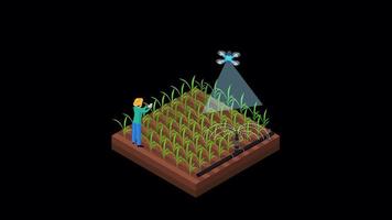 Isometric smart farm with man using phone to control drone.Smart farm concept.Farm innovation with smart farmer video