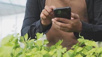 agricultrice travaillant tôt à la ferme tenant un panier en bois de légumes frais et une tablette.. video