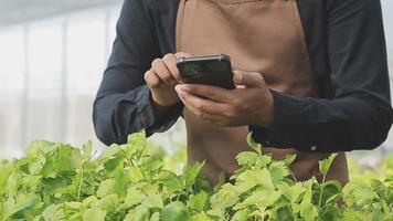 agricultrice travaillant tôt à la ferme tenant un panier en bois de légumes frais et une tablette.. video