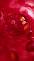 rote Blutkörperchen in der Arterie. vertikales Video. video