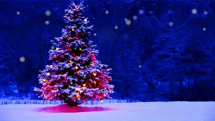 Một nền tảng video Giáng sinh lộng lẫy đang chào đón bạn! Một khoảnh khắc cho bạn để ngắm nhìn những chiếc hộp quà dưới cây thông dày đặc, trong tiếng thở dài của người tình, và trong ánh sáng từ những đèn lồng lấp lánh. Hãy xem và tận hưởng không khí Giáng sinh ấm áp với nền tảng video này.