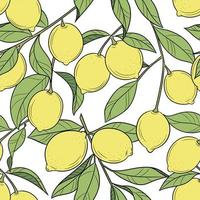 Lemon tree vector repeat pattern, citrus fruits illustration,