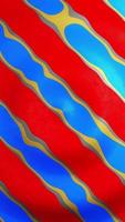 Abstract background of colorful, overlapping prints on red fabric. Vertical looped video