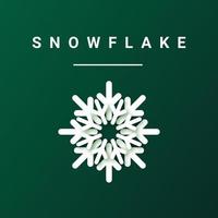 Snowflake icon on a green background. Snowflake in a modern paper style. Christmas Elements. Vector illustration