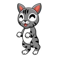 Cute manx cat cartoon standing vector