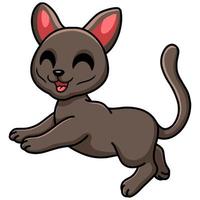 Cute korat cat cartoon walking vector