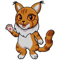 Cute maine coon cat cartoon waving hand vector