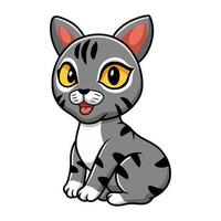 lindo, manx, gato, caricatura, sentado vector