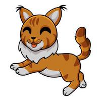 Cute maine coon cat cartoon vector