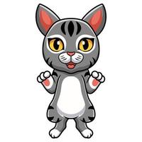 Cute manx cat cartoon standing vector