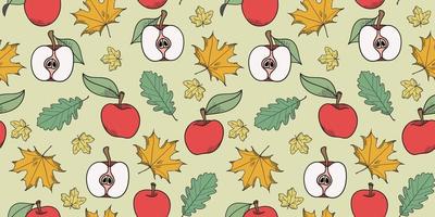 Apples and leaves autumn botanical illustration background vector