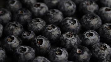 Blueberries fruits in low light video