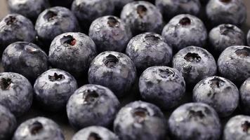 Ripe blueberries fruits video