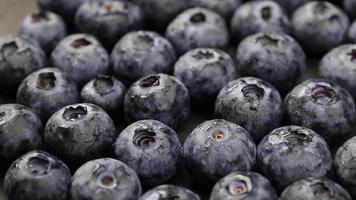 fruits de myrtilles, motif de fruits de myrtille, myrtille mûre video