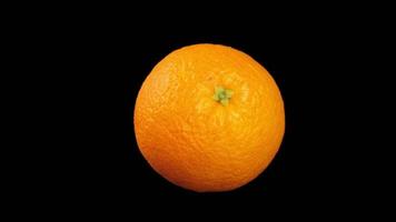 Orange fruit, orange on black background video