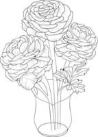 Ranunculus drawing.bouquet of buttercup flower, hand drawn pencil sketch coloring page and book for adults isolated on white background floral element illustration ink art. vector