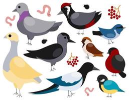 Set of cute cartoon winter birds isolated on white background. Vector illustration
