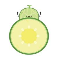 Melon character design. melon on white background. Melon cartoon. vector