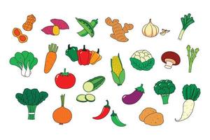 verduras establecer iconos de ilustración vectorial vector
