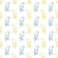 Bird vector background, parrot repeat pattern design