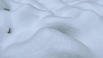 snöig fält i vinter- solig dag. vit Häftigt bakgrund se av natur. horisontellt video 4k 3840x2160 60 fps