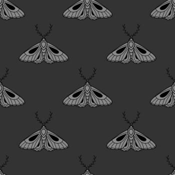 patrón vectorial de polilla, fondo místico vector