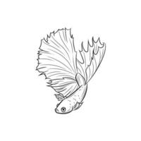 Fish vector illustration, siamese fighting fish also known as betta fish