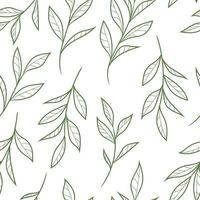 Natural leaf vector pattern with hand drawn leaves, seamless background