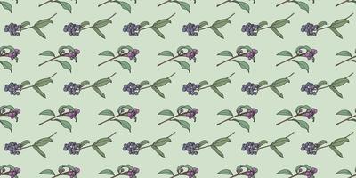 Berry botanical illustration vector pattern background,