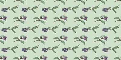 Berry botanical illustration vector pattern background,