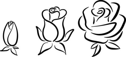 Rose element set, simple flat icon collection, line art vector