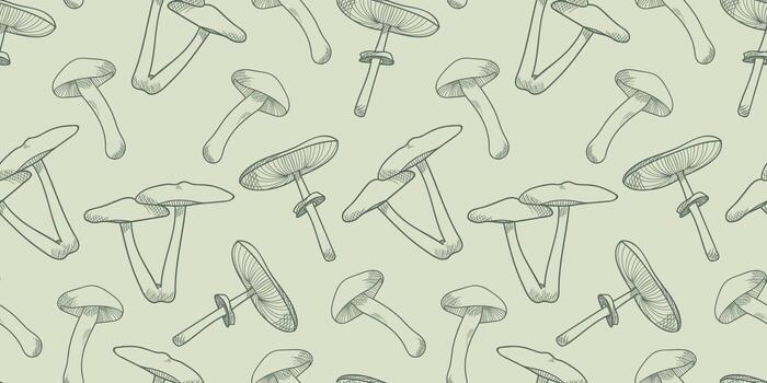 fondo de patrón vectorial de setas, ilustración botánica vector