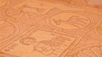 Petra, Jordan ,2022 - animals mosaic art in byzantine church in Petra historical site