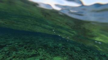 bucear bajo el agua en la playa de aqaba solo disfrutar del agua limpia observar la vida silvestre bajo el agua en jordan south beach video