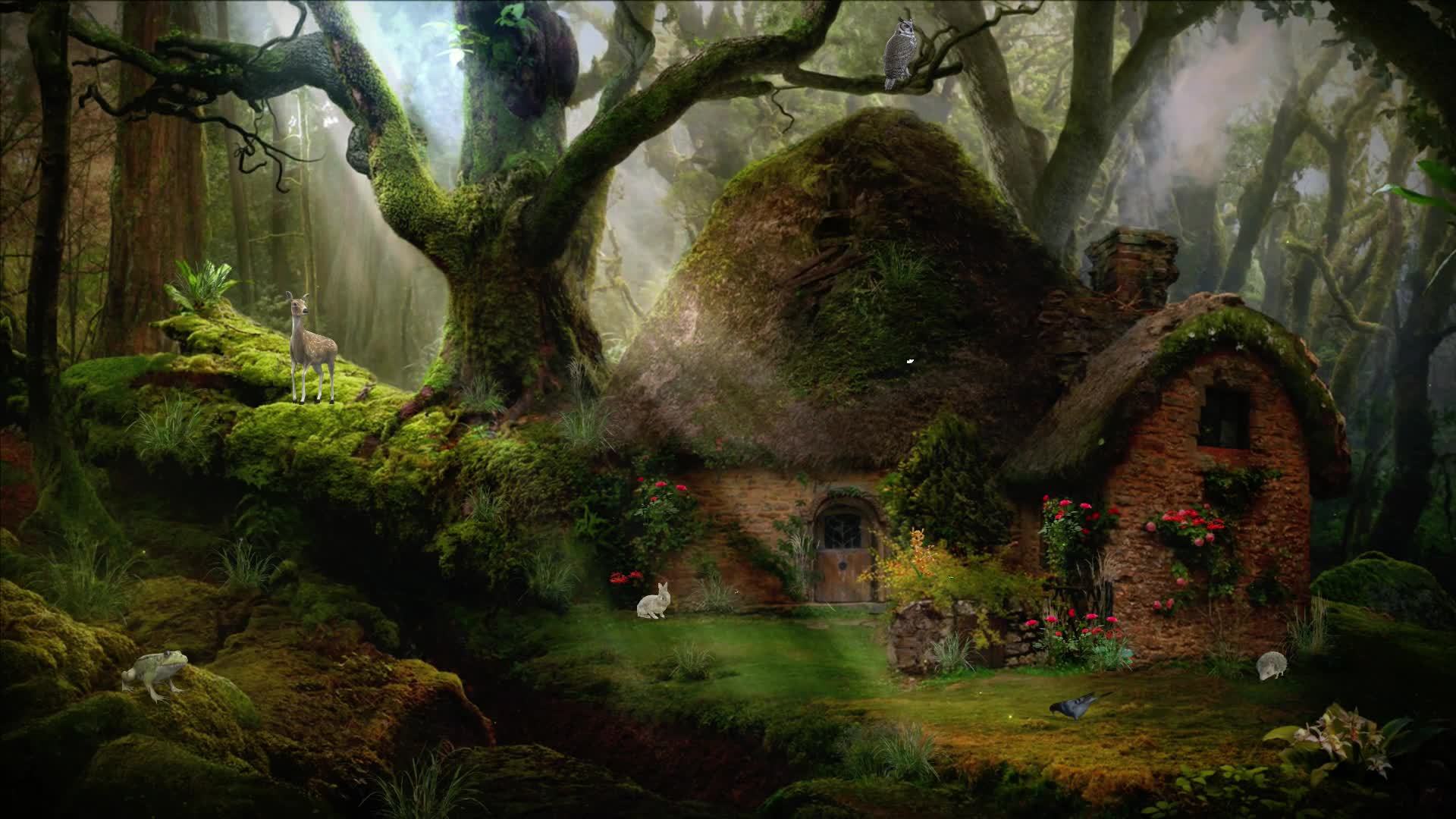 Beautifull Nature Background Enchanted Hobbit House Deer 16191207 Stock  Video at Vecteezy
