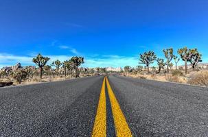 Beautiful landscape in Joshua Tree National Park in California. photo