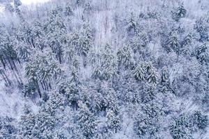 Aerial view looking down at snow covered forests of Vermont in the winter. photo