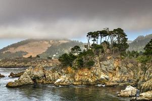 reserva natural del estado de point lobos justo al sur de carmel-by-the-sea, california, estados unidos, y en el extremo norte de la costa big sur del océano pacífico foto