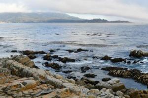 Landscape of Pescadero Point with ghost trees along 17 Mile Drive in the coast of Pebble Beach, California photo