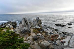 Landscape of Pescadero Point with ghost trees along 17 Mile Drive in the coast of Pebble Beach, California photo
