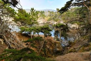 Point Lobos State Natural Reserve just south of Carmel-by-the-Sea, California, United States, and at the north end of the Big Sur coast of the Pacific Ocean photo