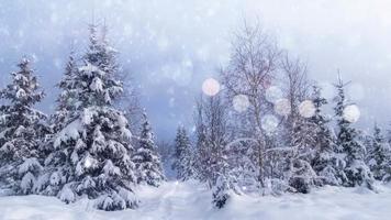 vinter- snöar på träd video