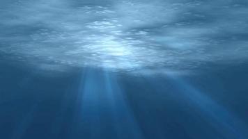 Under sea water video