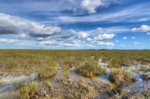 Scenic landscape Florida Everglades photo