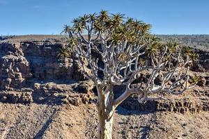 Fish River Canyon -Namibia, Africa photo