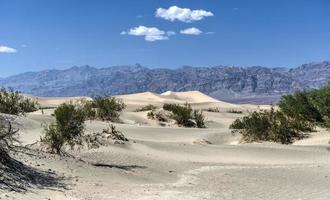 dunas de arena planas de mezquite, valle de la muerte foto