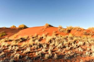 Desert Landscape - NamibRand, Namibia photo