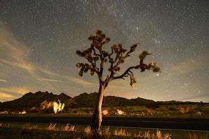 Beautiful landscape in Joshua Tree National Park in California at night. photo